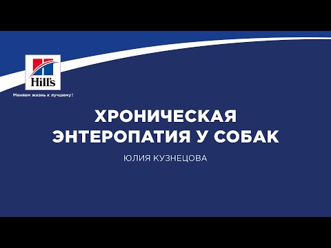 Видео: Вебинар на тему: “Хроническая энтеропатия у собак”. Лектор - Юлия Кузнецова.