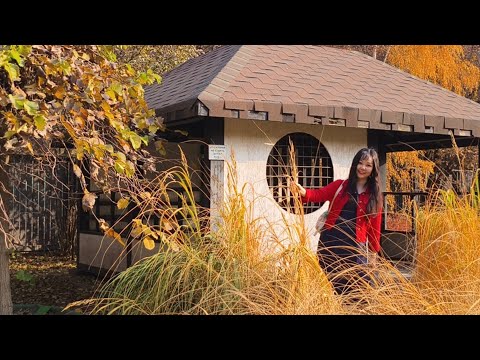 Видео: Песня "Сиқырлы әлем" 🌿 Осенняя прогулка в ботаническом саду Алматы#song#music#almaty#kazakhstan#life