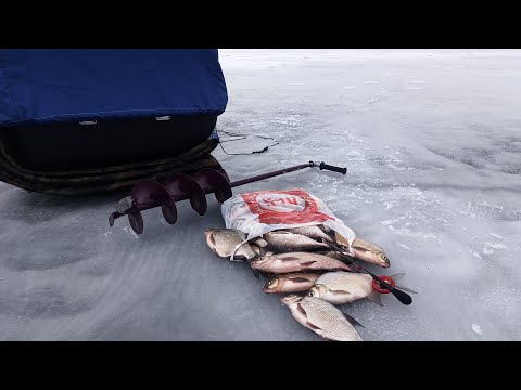 Видео: рыбалка 25.03.23 Белоярское водохранище, Черемшана