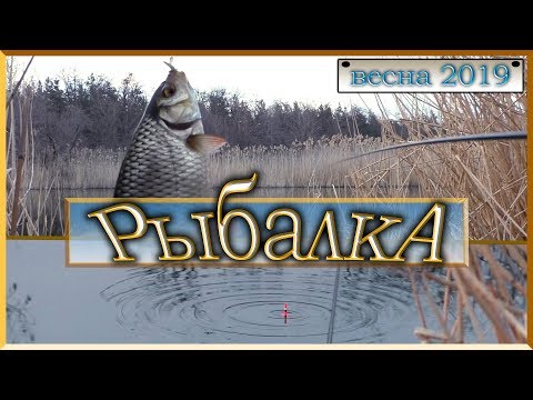 Видео: рыбалка весной в апреле на маховую удочку | вечерняя рыбалка 2019