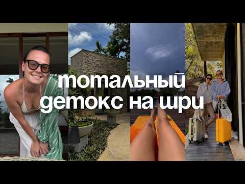 Видео: отпуск на Шри Ланке в НИЗКИЙ СЕЗОН — как выглядит рай без туристов и толпы