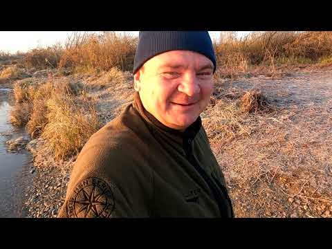 Видео: Эхолот не нужен. Щука обнаружена .