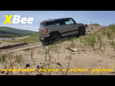 Видео: Suzuki XBee. Окологородские путешествия  Испытание песком и лесной дорогой