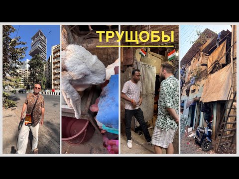 Видео: #38 Треш-контент, Трущобы Мумбая Дхарави. Дом самого богатого человека Индии и висячие сады. Индия