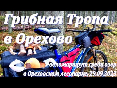 Видео: Ореховская Велотропа: Грибной Веломаршрут в бору среди озер в Ореховском лесопарке. 29.09.2023