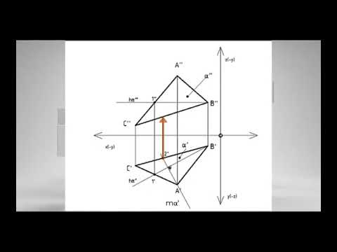 Видео: Хавтгайн гол шулуунууд
