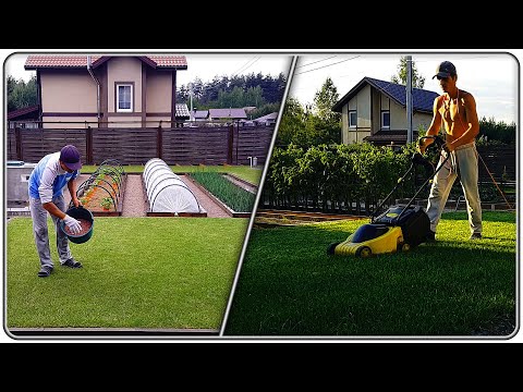 Видео: 150.  Газон. Что, когда и как?