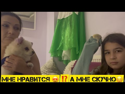 Видео: Уборка кухни🫧👌🏽Мама  и Маша + и -  новой квартиры после первой ночевки?! 