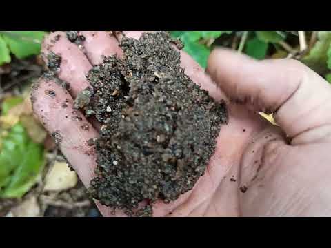 Видео: абиссинская скважина. почти 3 тонны воды за копейки...город Юрьев Польский Владимирская область