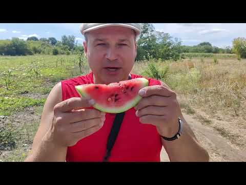 Видео: Подорож до кременчужского  моря .замак андрусивка!!!