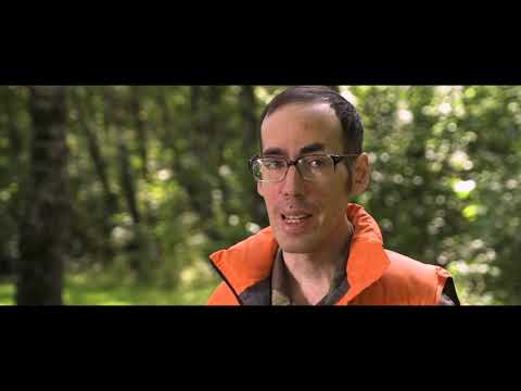 Видео: Картографы