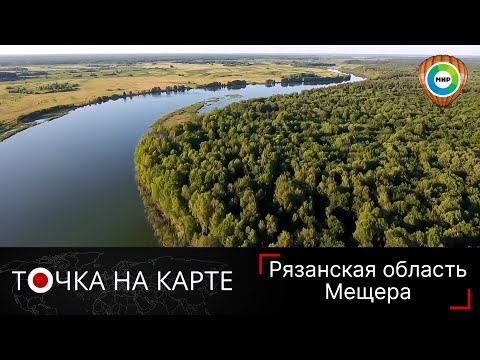 Видео: Мещера. Уникальный заповедник с краснокнижными животными