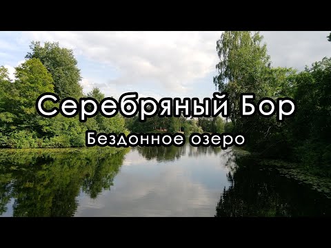 Видео: Прогулка вокруг Бездонного озера. Серебряный Бор. Август 2020.