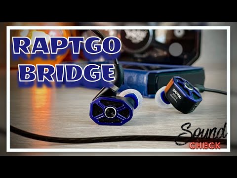 Видео: Обзор трибридных наушников Raptgo Bridge - Мост в будущее?