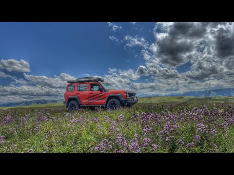 Видео: 🧡ТигрТанк в Лепсинске. Озеро Жасылколь. Перевал КокТобе. Курган Уйгентас. РекаТентек