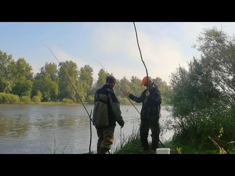 Видео: ПЕРВАЯ НОЧНАЯ РЫБАЛКА НА РЕКЕ ПРИПЯТЬ