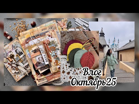 Видео: 6 ноября 2025 г.