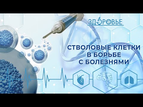 Видео: Лечение стволовыми клетками | Здоровье 03.06.2023