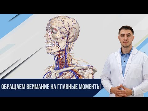 Видео: Что может болеть в шее