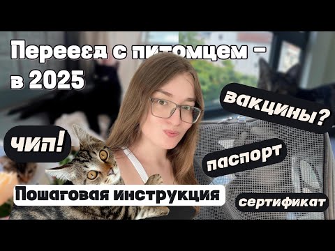 Видео: Переезд с питомцем в 2025 - инструкция | Мой опыт с двумя котами во Вьетнам