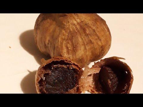 Видео: спасаем чеснок. черный чеснок, как сделать