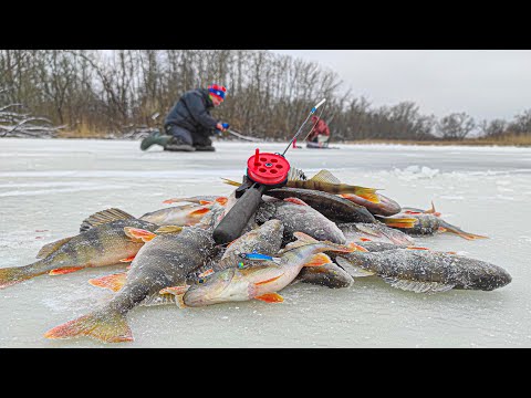 Видео: ❄️БАЛАНСИР ЯКИЙ ГАРНО ЛОВИТЬ ОКУНЯ🐟 Зимова риболовля.