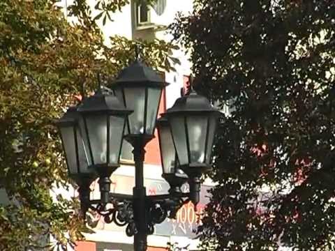 Видео: мои клинцы.mpg