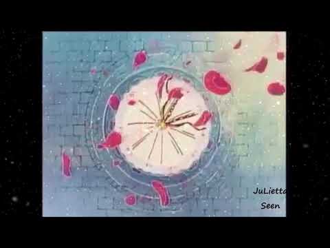 Видео: Сейлор мун - но ты ушел туда где небеса