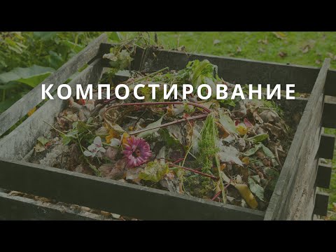 Видео: Вебинар 05 -  Компостирование