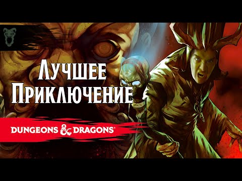 Видео: Какое DnD приключение выбрать в 2025 году?