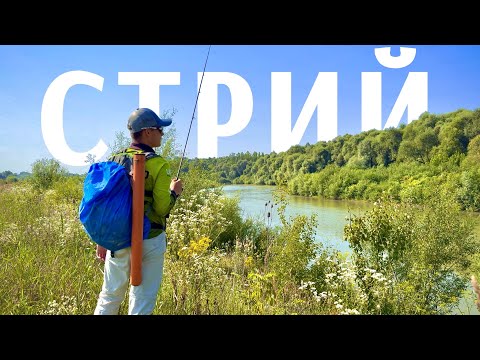 Видео: Величний Стрий - Як Ловити в Повноводній Річці?