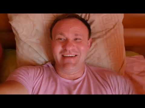 Видео: Дикий лось Химик или нет?