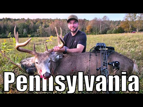 Видео: Гигантский олень в день открытия сезона охоты на оленей!