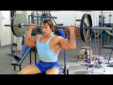 Видео: Программа тренировок плеч и рук Арнольда Шварценеггера для наращивания мышечной массы