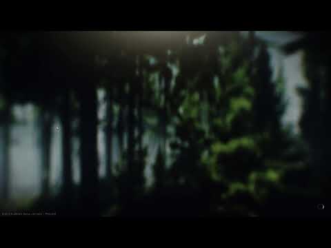 Видео: Придавая значение фиду