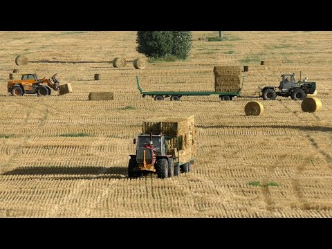 Видео: ХТЗ Т-150К транспортируют рулоны. Импортные пресс - подборщики в деле.