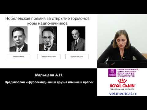 Видео: Мальцева А. Н. - Преднизолон и фуросемид – наши друзья или наши враги?