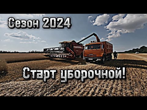 Видео: Первый день уборки пшеницы 2024 Работаю на Палессе GS12