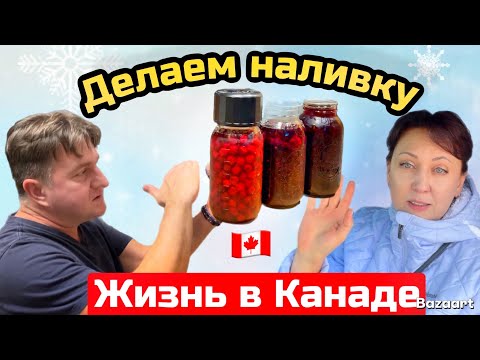 Видео: Делаем хреновуху и наливку // Домашнее вино//  Жизнь в Канаде 🇨🇦 life in Canada