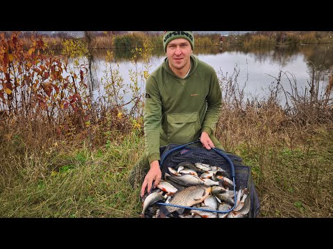 Видео: НАЙБІЛЬШИЙ КАРАСЬ😱! БАГАТО ЕМОЦІЙ! 🏆 РИБАЛКА РОКУ!!!