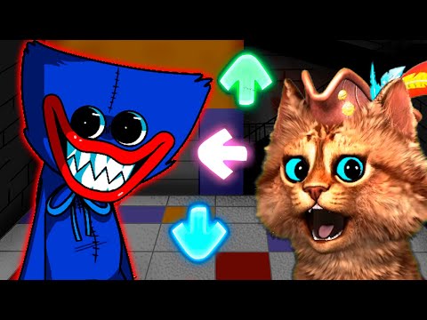 Видео: ХАГГИ ВАГГИ НАУЧИЛСЯ ПЕТЬ во Friday Night Funkin' vs Huggy Wuggy vs Baldi FNF Весёлый Кот