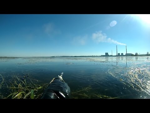 Видео: Подводная охота 27.08.2016 на водохранилище. Вылазка двумя группами на ноль. ПО как любимое хобби.