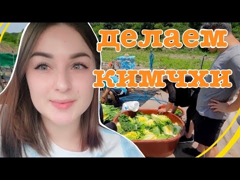 Видео: Делаем кимчхи. Вся корейская семья в сборе. Korea VLOG