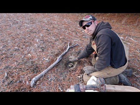 Видео: Как сделать плоский набор (ловушка для койота/лисы)