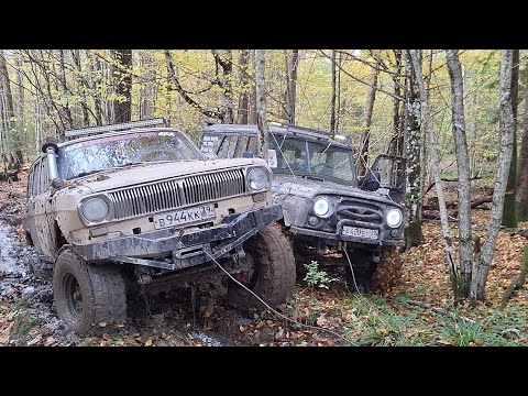 Видео: Выезд 25.10.25 #уаз #automobile #лесной #offroad #болота #топ #уазик 