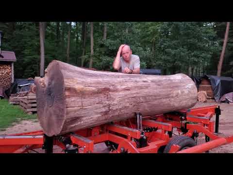 Видео: БОЛЬШОЙ белый дуб и фрезерование вокруг металла