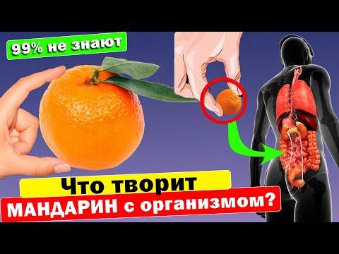 Видео: Вот почему, сейчас, все покупают МАНДАРИНЫ. Долька МАНДАРИНА избавит от...