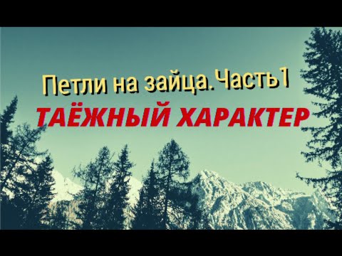 Видео: Петли на зайца.