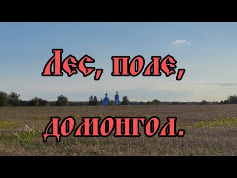 Видео: Лес, поле, домонгол.