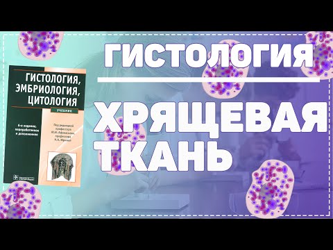 Видео: Скелетные ткани / ХРЯЩЕВАЯ ТКАНЬ / ХРЯЩИ /  Гистология